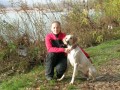 ME v DOGSCOOTERINGu