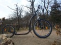 Kickbike CrossMAX