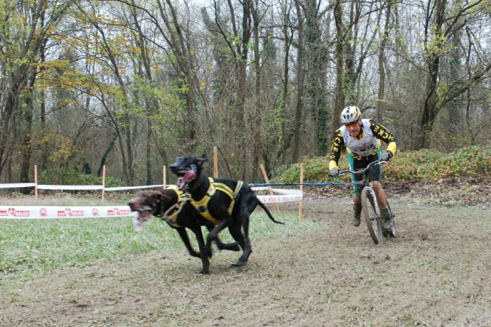 Ještě jednou z ME v Musherském sportu - Ivo Vacke mistrem Evropy