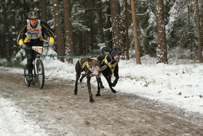 ...a Ivo Vacke ...