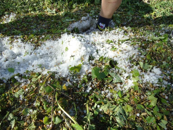 V pátek se prohnala bouřka s kroupy...a dosahovaly až po kotníky