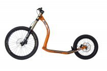 GRAVITY DH RAPTOR